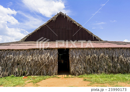 世界遺産のビニャーレス渓谷 世界遺産のビニャーレス渓谷 23990173