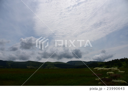 八島湿原 23990643