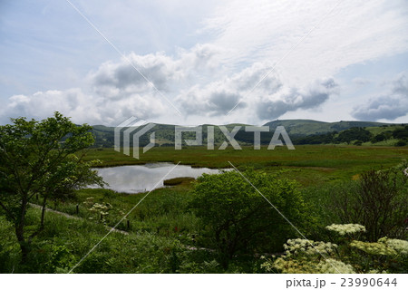 八島湿原 23990644