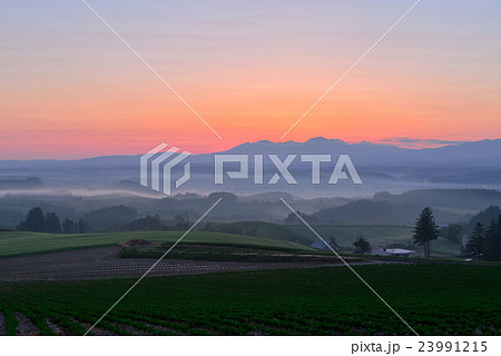 富良野 富良野 23991215