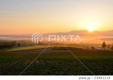 富良野 富良野 23991219