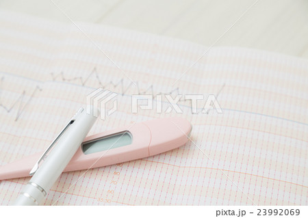 基礎体温表 23992069