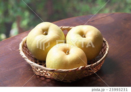 梨 多摩川梨 梨 多摩川梨 23993231