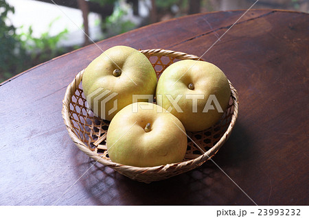 梨　多摩川梨 23993232