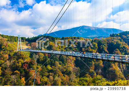 九重夢大吊橋の紅葉 23993738