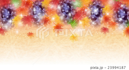 紅葉 ぶどう 秋 背景 紅葉 ぶどう 秋 背景 23994187