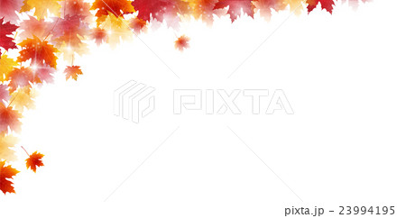 紅葉 秋 風景 背景 紅葉 秋 風景 背景 23994195
