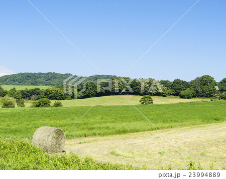 農業と刈りたての牧草ロール 農業と刈りたての牧草ロール 23994889