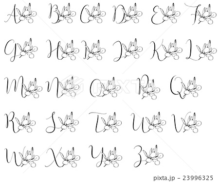 Decorative Alphabet Olive 装飾アルファベット オリーブのイラスト素材