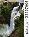 雄川の滝 23997906