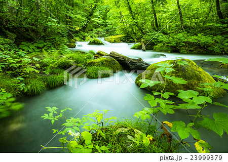 奥入瀬渓流 23999379