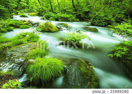 奥入瀬渓流 奥入瀬渓流 23999380