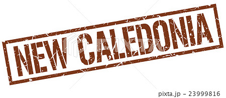 New Caledonia brown square stamp 23999816