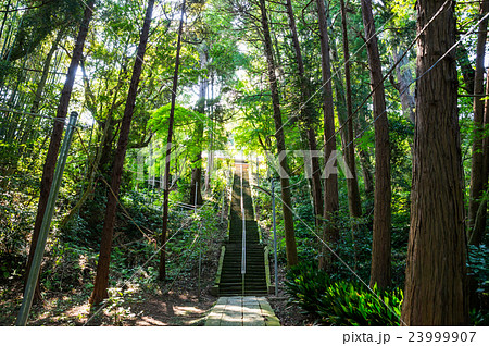 宮谷八幡神社 (千葉県大網白里市) 2016年8月現在 宮谷八幡神社 (千葉県大網白里市) 2016年8月現在 23999907
