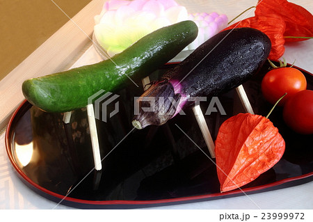 盆 お供え物 盆 お供え物 23999972