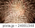 花火 24001348