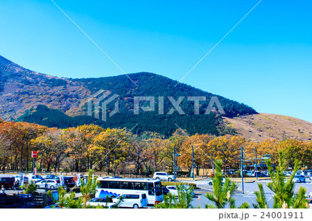 くじゅう 坊ガツル・ダテ原湿原の紅葉 くじゅう 坊ガツル・ダテ原湿原の紅葉 24001911