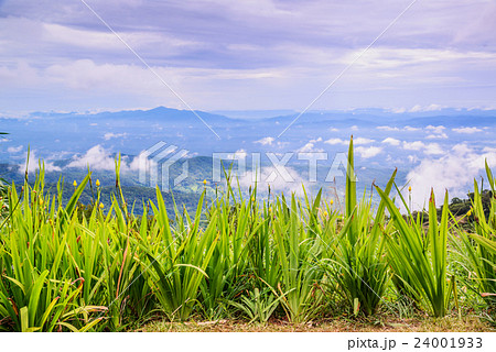 View point of Mon Cham Hill, Ching Mai, Thailand. View point of Mon Cham Hill, Ching Mai, Thailand. 24001933