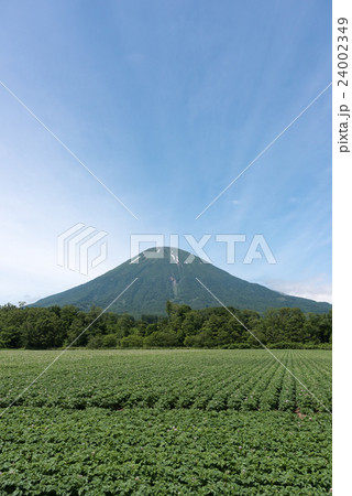 羊蹄山 羊蹄山 24002349