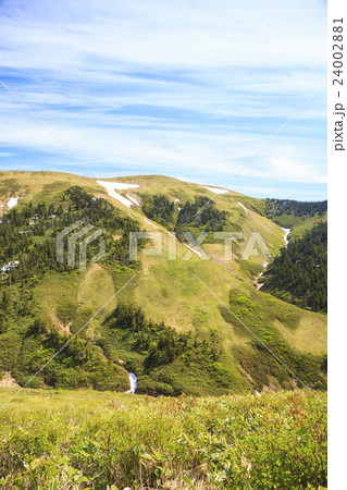 前巻機から望む初夏の巻機山　新潟県南魚沼市 24002881