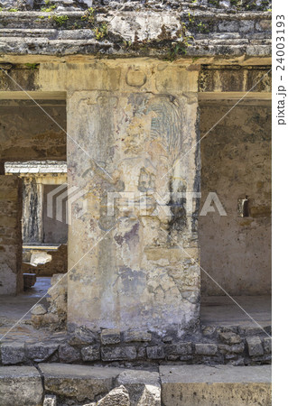 密林に眠るパレンケ遺跡 24003193