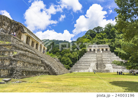 密林に眠るパレンケ遺跡 密林に眠るパレンケ遺跡 24003196