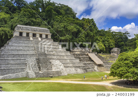 密林に眠るパレンケ遺跡 密林に眠るパレンケ遺跡 24003199
