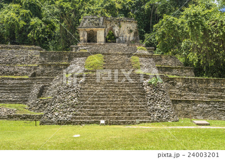 密林に眠るパレンケ遺跡 密林に眠るパレンケ遺跡 24003201