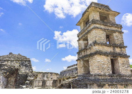 密林に眠るパレンケ遺跡 密林に眠るパレンケ遺跡 24003278