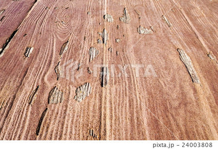 日本家屋 24003808