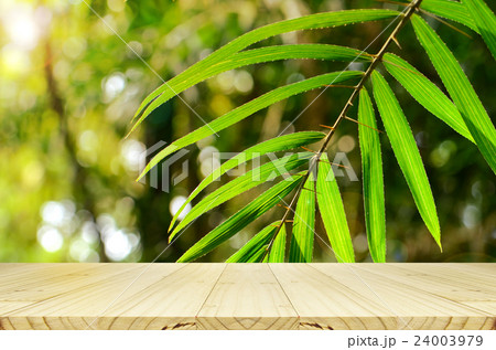 Outdoor picnic background in summer sun light. Outdoor picnic background in summer sun light. 24003979