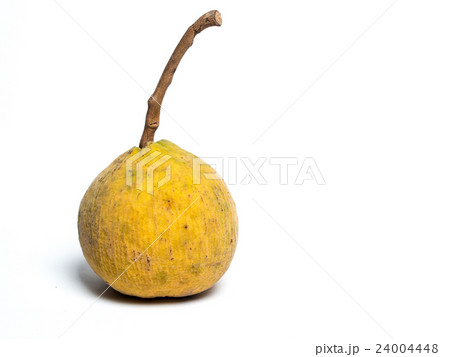Santol fruit on white isolate background. 24004448