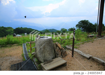 白馬五竜高山植物園 長野県 白馬五竜高山植物園 長野県 24005947