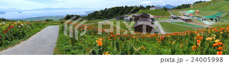 満開のぴわこ箱館山ゆり園より竹生島、伊吹山、琵琶湖を眺望する絶景 24005998