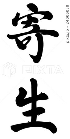 寄生 寄生 24006059