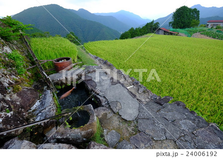 果無峠の夏（奈良県吉野郡十津川村） 24006192