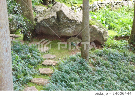 愛媛県西予市宇和町 苔庭 愛媛県西予市宇和町 苔庭 24006444