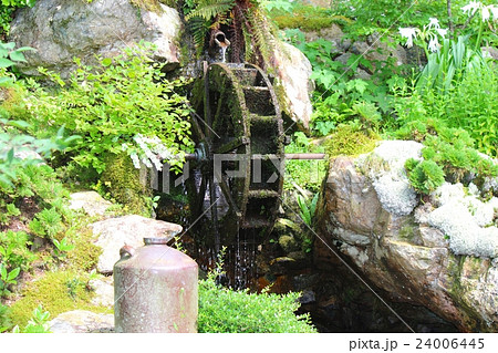 愛媛県西予市宇和町　苔庭と水車 24006445