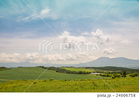 嬬恋村バラギ高原のキャベツ畑 24006758