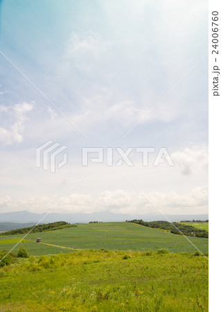 嬬恋村バラギ高原のキャベツ畑 24006760