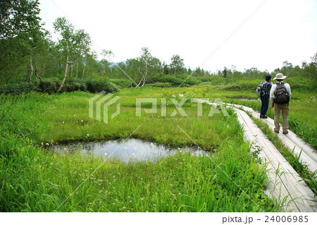 栂池自然園　長野県 24006985