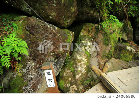 栂池自然園　長野県 24006986