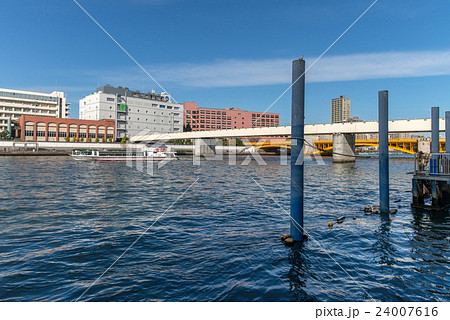 蔵前専用橋 24007616