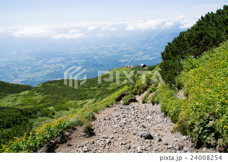 羊蹄山 登山道 羊蹄山 登山道 24008254