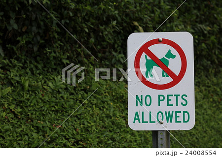 No Pets Allowed 24008554