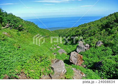 羅臼岳　岩尾別登山口　大沢 24008634