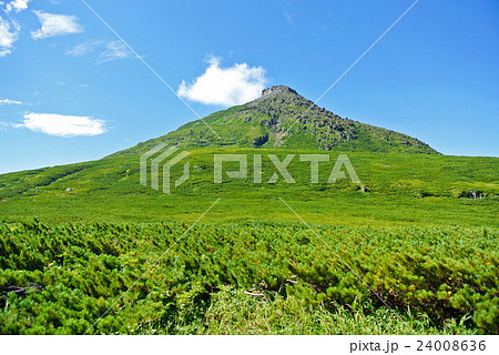 羅臼平から望む羅臼岳 24008636