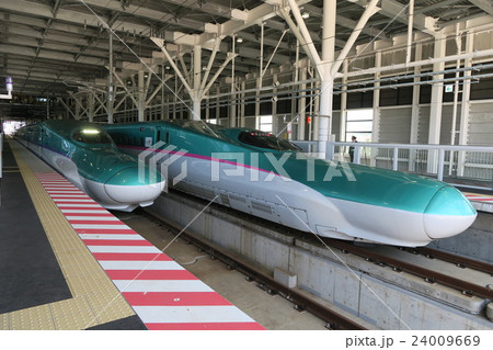 北海道新幹線と並ぶ東北新幹線を新函館北斗駅にて 24009669