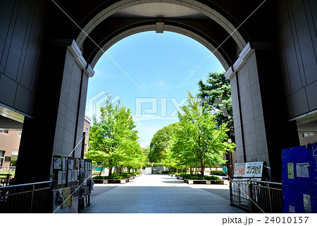 京都大学 吉田キャンパス 24010157