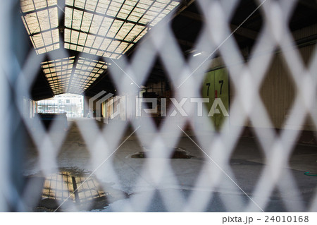 フェンスの向こう側 フェンスの向こう側 24010168